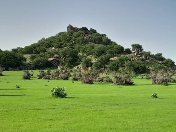 ONAPDAC : La bataille contre la désertification au Tchad